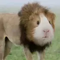 っも