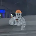 toastyvr0