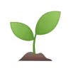 Plants 'n' Gardens