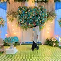 Tharyani_
