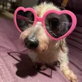 くれよんけろよん