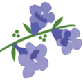 JacarandaLiving