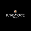 Panemorfi Project