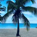 MyVacationView by FOMOTravelCo
