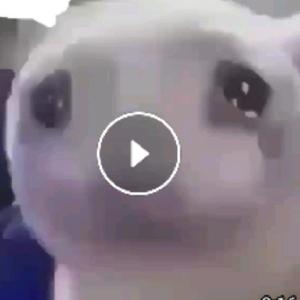 ah híu đẹp troai