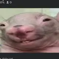 Ifyouareaemoslenderuarecringe1