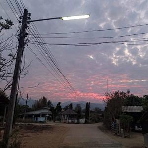 Nittaya Maniloed