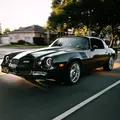 camaro chris