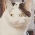 Gilang Angga S