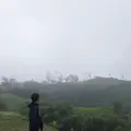 CameLungu
