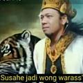 ibnu