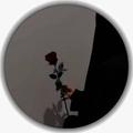 نور عين346