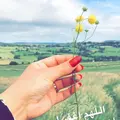 حنينhanen