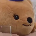 ꯁꯧ