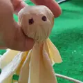 APASIHMI