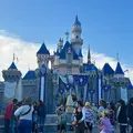 K  J  Disneyland Parks