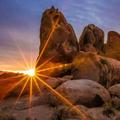 _Kennedy_662
