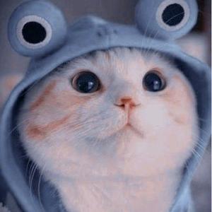  |°Cutiee3 |EDITOR°|