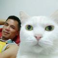 คุณพ่อแมวขาว