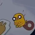 ozzy bru