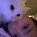 うさぎ815