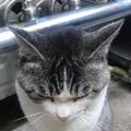 いとう征え